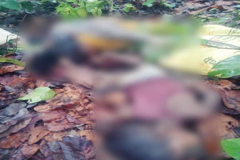 Three people killed in two days in khunti, Three people killed in khunti, crime news of khunti, खूंटी में दो दिनों में तीन लोगों की हत्या, खूंटी में तीन लोगों की हत्या, खूंटी में अपराध की खबरें