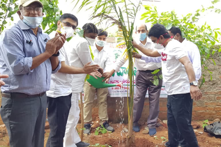 nizamabad zp chairman vittal rao participated in harithaharam programme