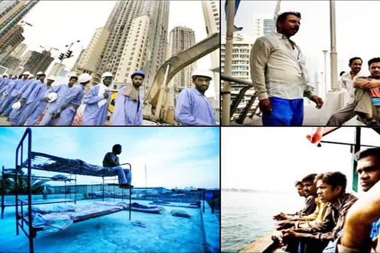 Life's not all rosy for Indian migrants in the Gulf