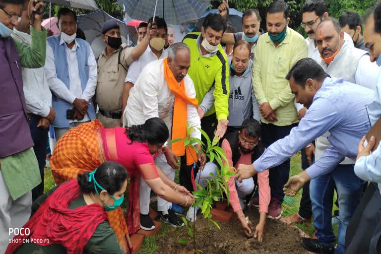 प्रभारी मंत्री अरविंद पांडे ने किया पौधरोपण