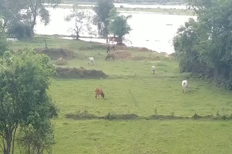 production of Kharif crops