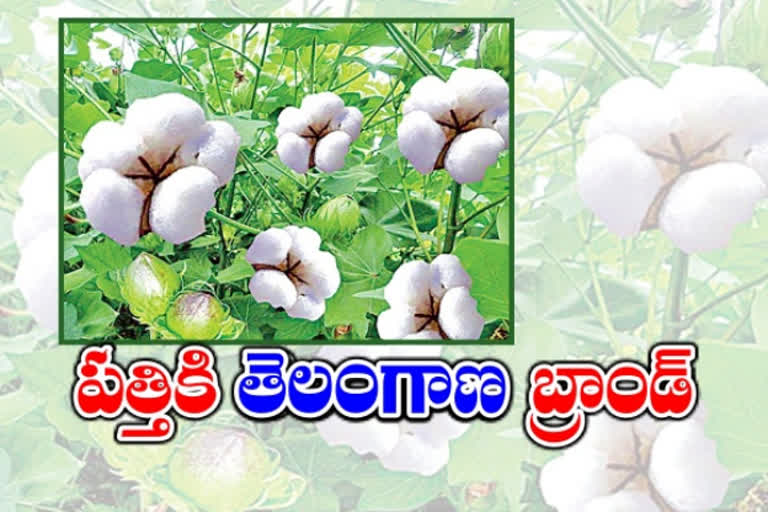 cotton purchases in special telangana brand