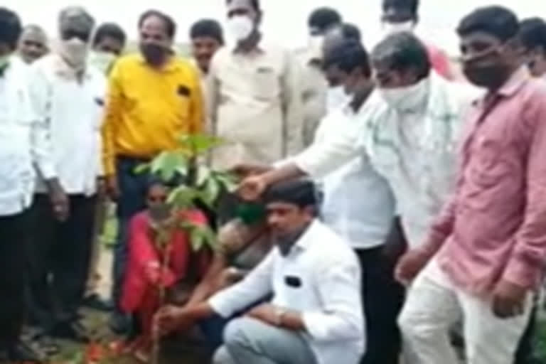 haritha haram program under the awja in nalgonda