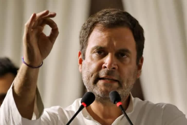 Small, medium enterprises 'destroyed'; had said 'economic tsunami' is coming: Rahul  Rahul Gandhi on Indian economy  Rahul Gandhi on SMEs  Rahul Gandhi  business news  രാജ്യത്ത് സാമ്പത്തിക സുനാമി ഉണ്ടാകും: രാഹുൽ ഗാന്ധി  രാഹുൽ ഗാന്ധി