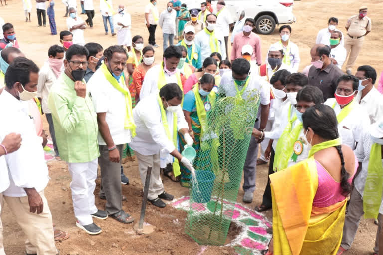 పచ్చని ప్రకృతి వనాలతో పల్లెలు, పట్టణాలు వికసించాలి: ఎమ్మెల్యే