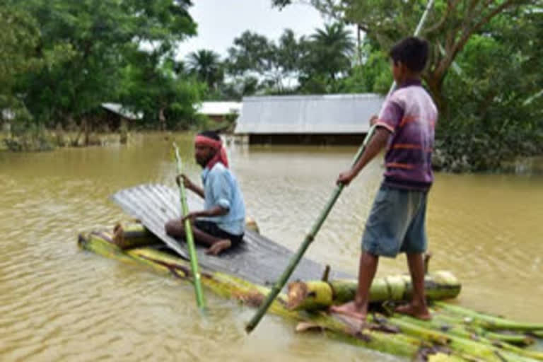 Assam floods  NDRF  Assam  death toll  monsoon floods  rescue operations  അസം പ്രളയം  എൻഡിആർഎഫ്  മരണ സംഖ്യ 49 ആയി  മൺസൂൺ വെള്ളപ്പൊക്കം  അസം  ഗുവാഹത്തി