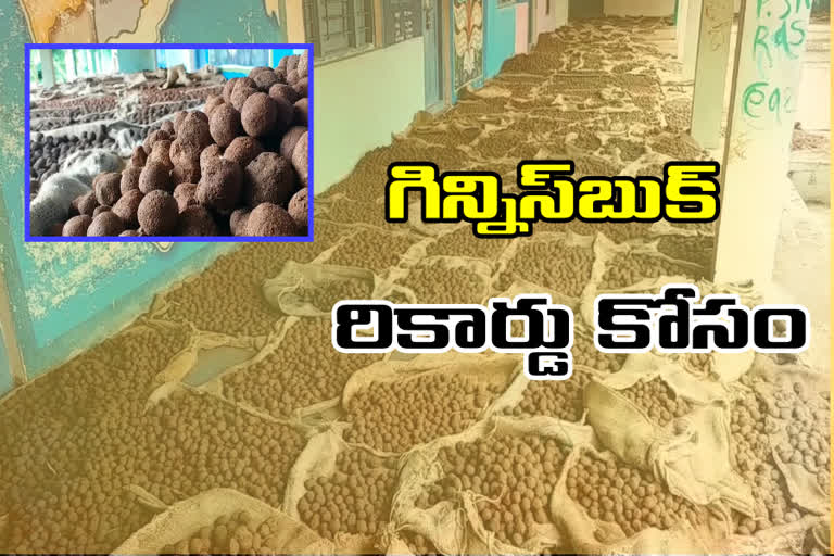 one crore seed balls program for the Guinness Book of Records in mahabubnagar