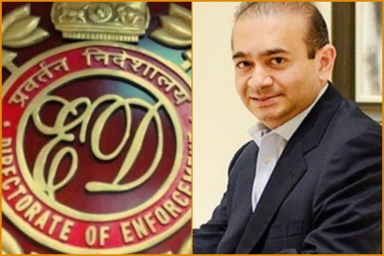 ED attached property of Nirav Modi,  नीरव मोदी की जैसलमेर में संपत्ति जब्त