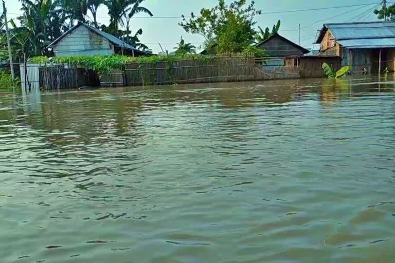 massive flood in goalpara dictrict