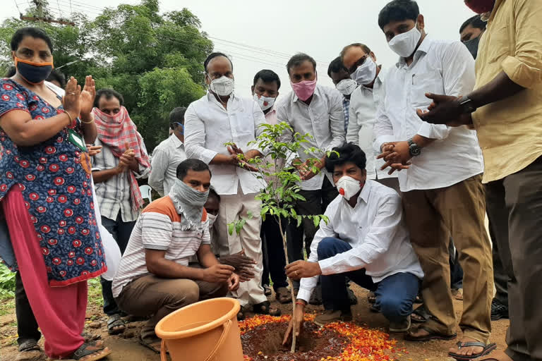 mahabubabad MLA Banoth Shankar Naik accepts green challenge