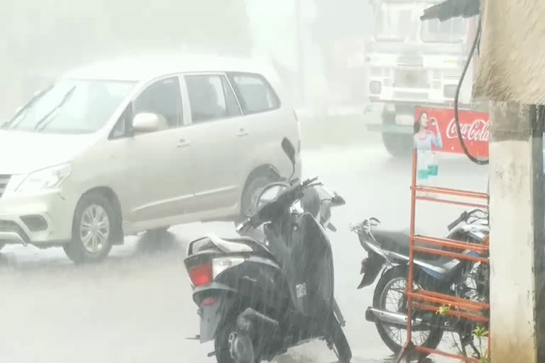 heavy rain in palwal monsoon haryana