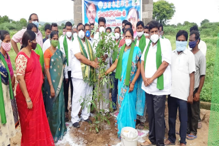 mla-satish-said-raise-plants-in-a-timely-rainfall