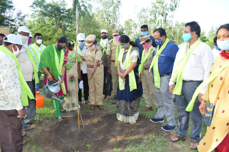 collector yasmin bhasha participated haritha haram program in vanaparti