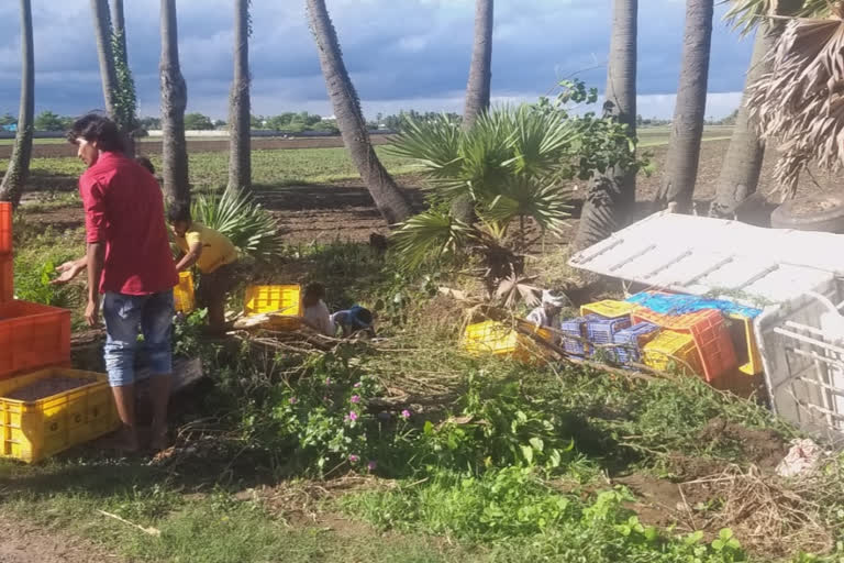 vehicle carrying shrimp load was rolled driver injured