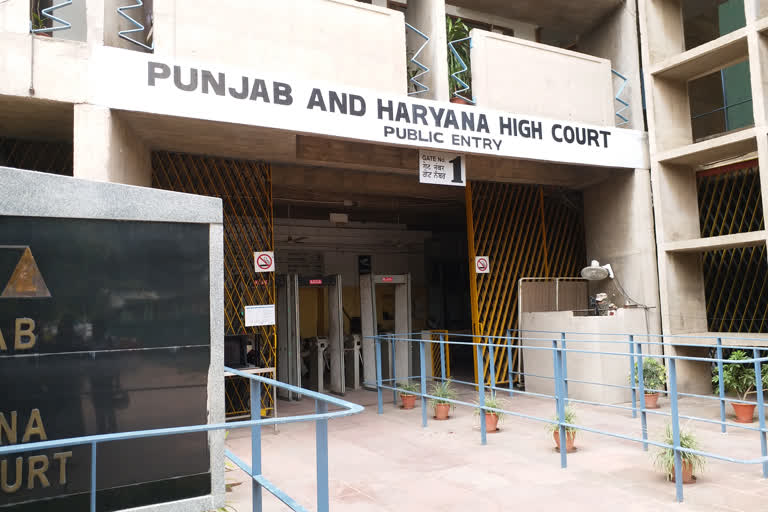 punjab haryana high court