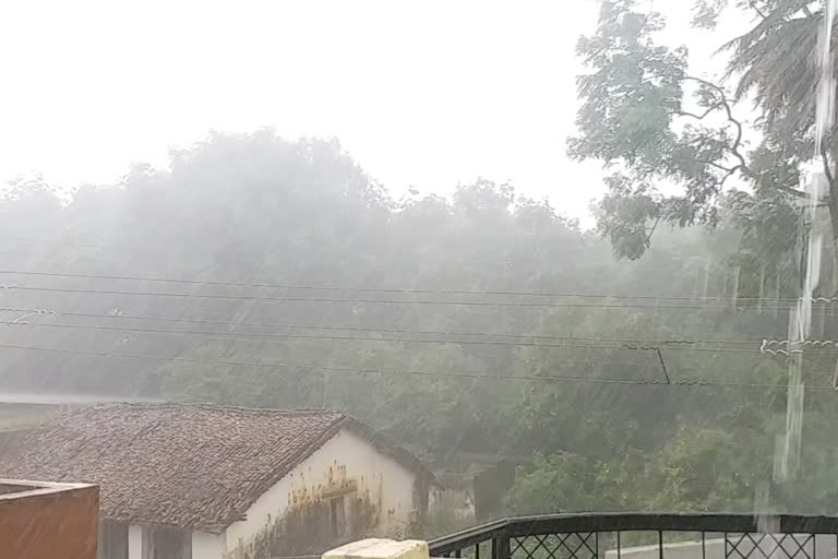 heavy rainfall in gariyaband