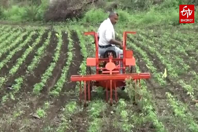 agriculture in amravati