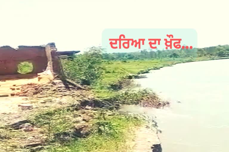 sutlej's water damage houses in harsabela village of ropar