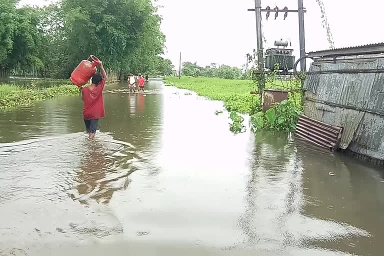 nowboicha-singra-river-flood-critical-situation