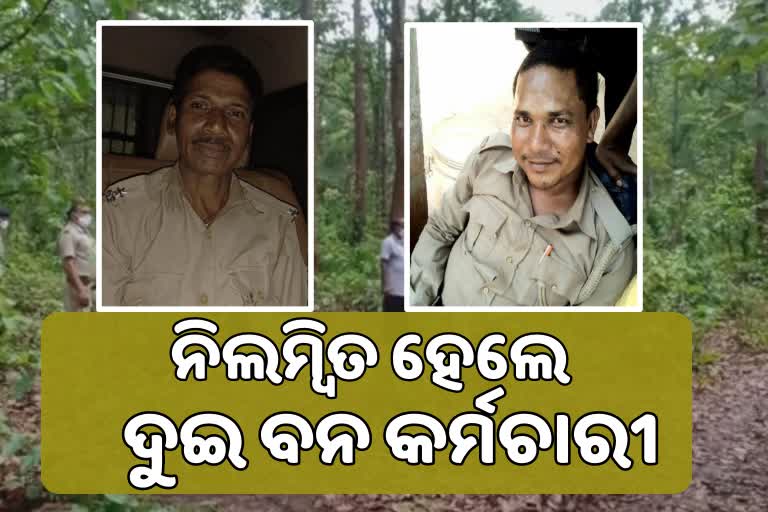 ଜଙ୍ଗଲରେ ହାତୀ ମୃତ୍ୟୁ ଘଟଣା; ଫରେଷ୍ଟର ଏବଂ ଫରେଷ୍ଟ ଗାର୍ଡ ସସପେଣ୍ଡ