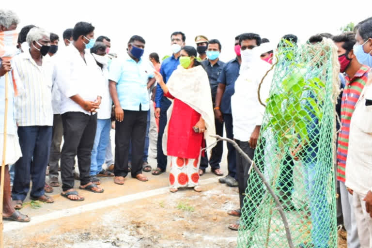 wanaparthy collector yasmin basha spoke on harithaharam on highways