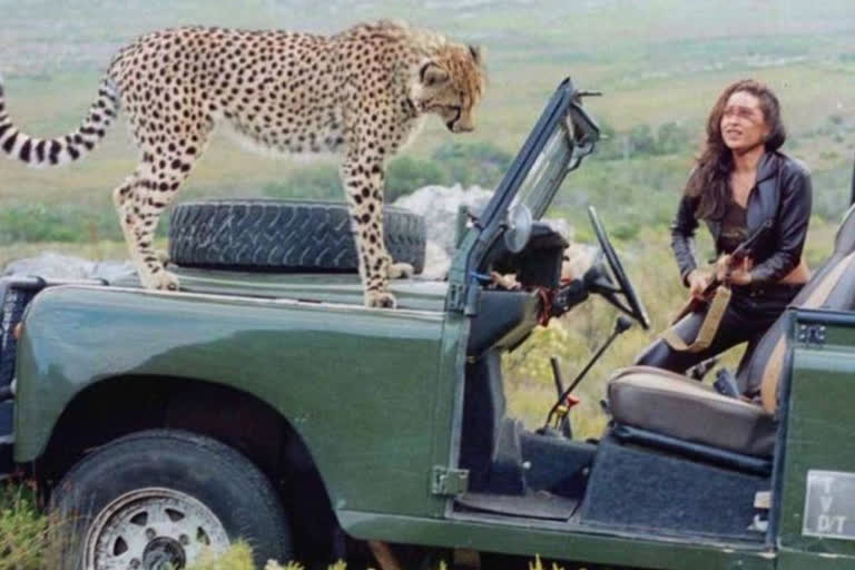 when karisma kapoor shared screen space with cheetah