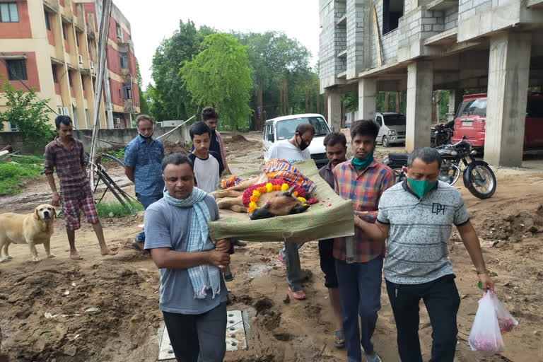 dog cremation process done by owner