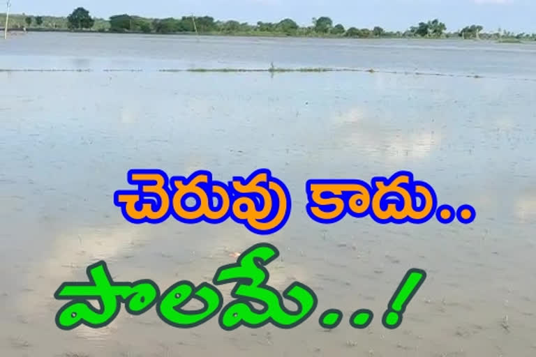 agriculture-fields-damage-with-heavy-floods-to-kovvada-canal-in-west-godavari-district
