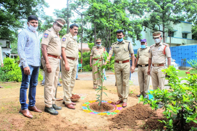 green challenge for the other three people and plant the trees at mahabubabad