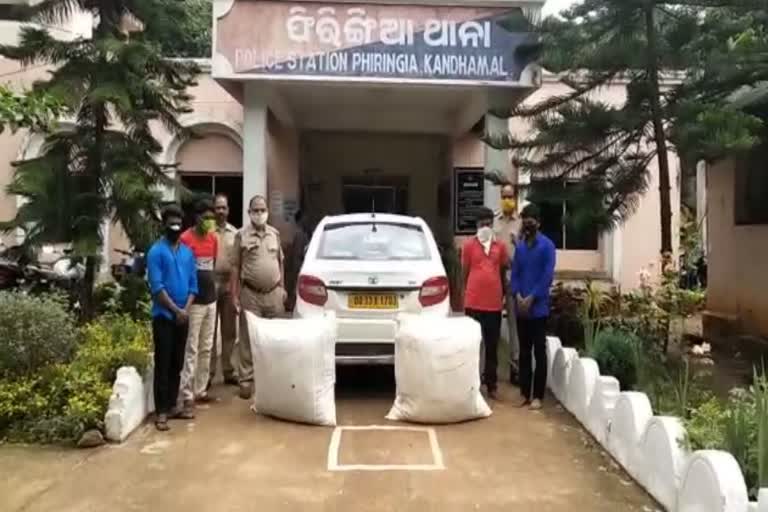 cannabis-smuggling-in-kandhamal-district-4-arrested