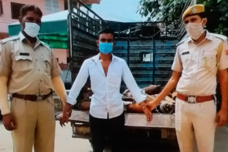 शातिर चोर गिरफ्तार, Jaipur News