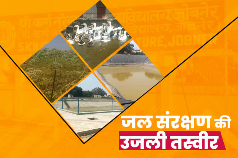 Karna Narendra Agricultural University Latest News, Water crisis in Jobner, Jaipur News