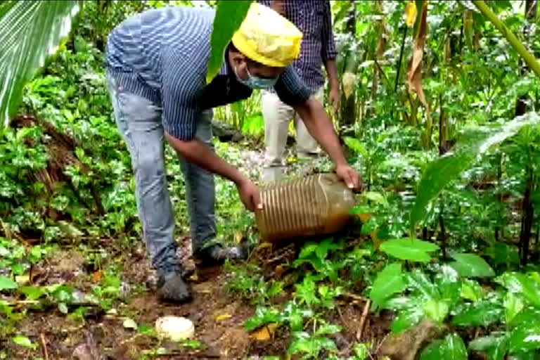 ഇടുക്കി  IDUKKI  liquor making  siezed  Mankulam  Virinjapara  കോട  അടിമാലി  ചാരായ നിര്‍മ്മാണം