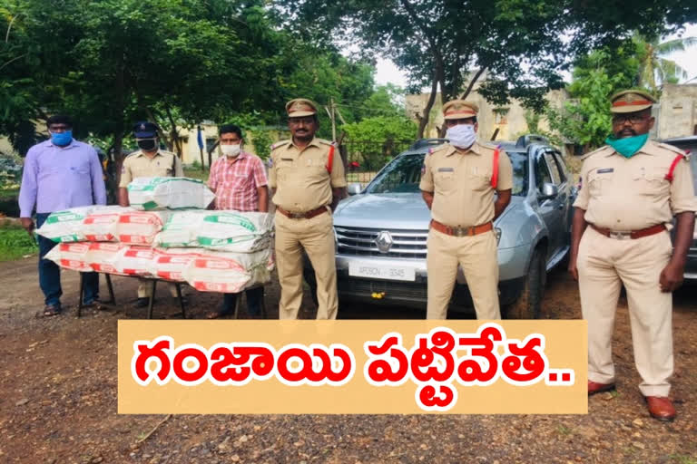 Heavy marijuana in parked car at badrachalam