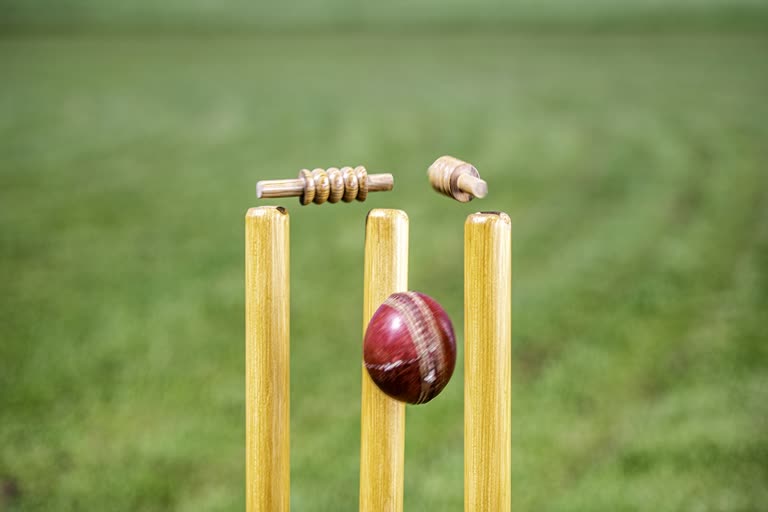 Cricket