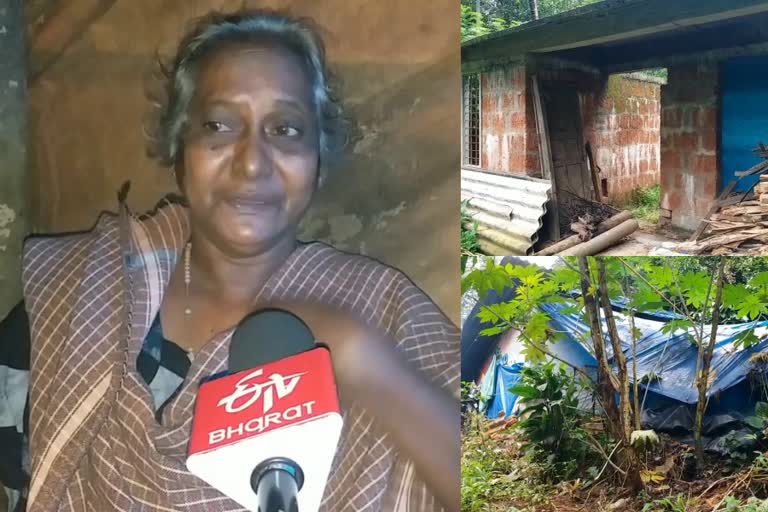 അധികൃതര്‍ കനിയണം  വീട് എന്ന സ്വപ്‌നവുമായി മീനാക്ഷി  സർക്കാർ പദ്ധതി  വയനാട്  wayanad  house meenakshi  meenakshi