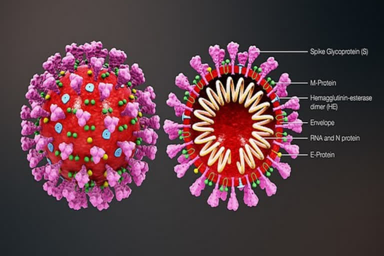 CORONA VIRUS LATEST TALLY IN INDIA