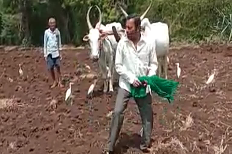 ವಿಡಿಯೋ ವೈರಲ್​