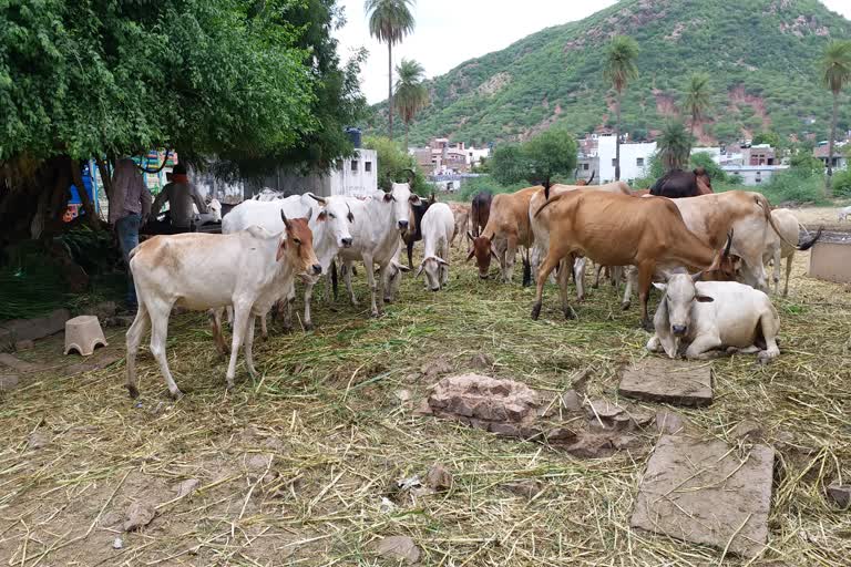 Construction of Kaine House, Kaine House in Bundi