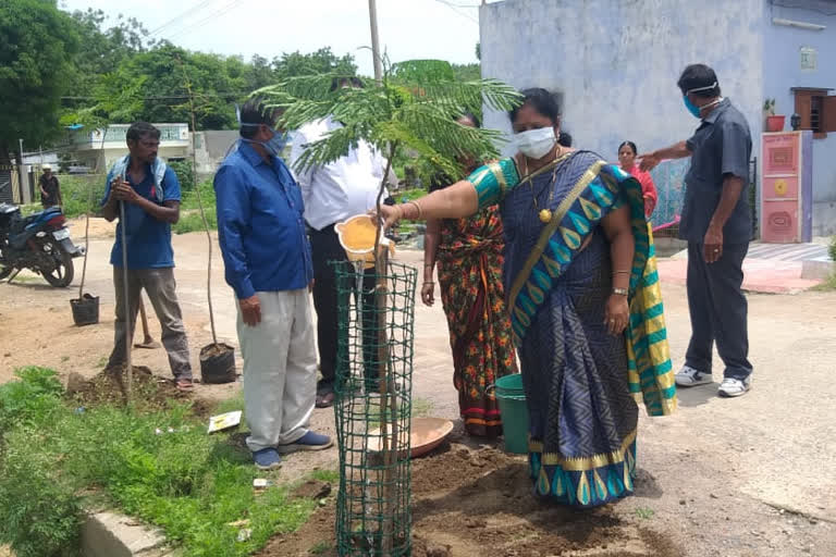 Nizamabad Neethu Kiran Attend 6 term Harithaharam in Nizamabad city