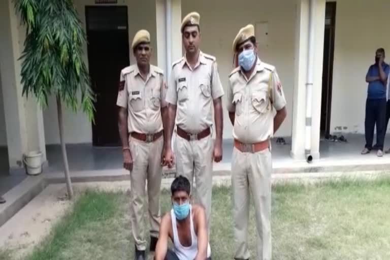 ganja smuggler arrested in sikar,  sikar news,  rajasthan news,  ganja smuggler arrested