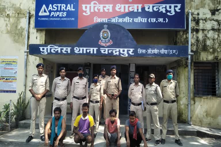 four-people-arrested-for-cow-smuggling-in-janjgir-champa