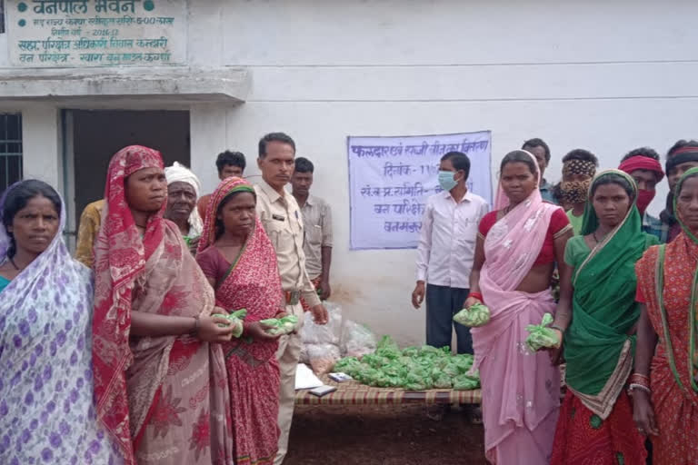 distributed seeds of vegetables and fruits