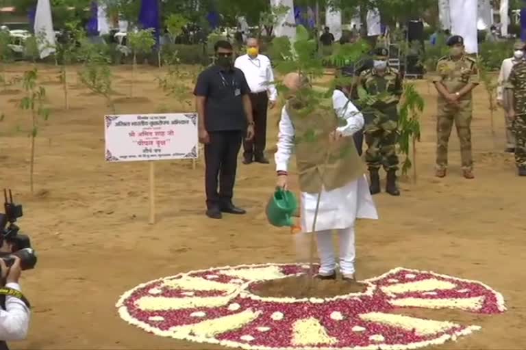 Union Home Minister Amit Shah participates in the 'All India Tree Plantation Campaign'