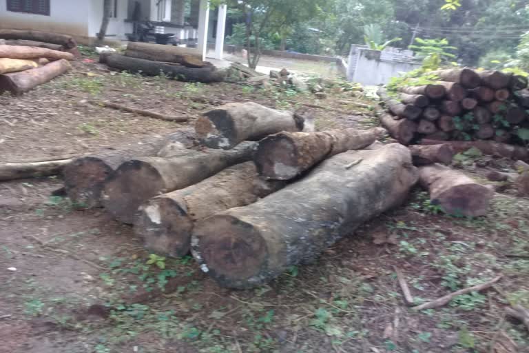 മലപ്പുറം  പഞ്ചായത്ത് സെക്രട്ടറി  മമ്പാട് പഞ്ചായത്ത്  Malappuram  panchayat Woods missing