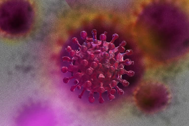 Coronavirus claims four more lives, toll mounts to 175