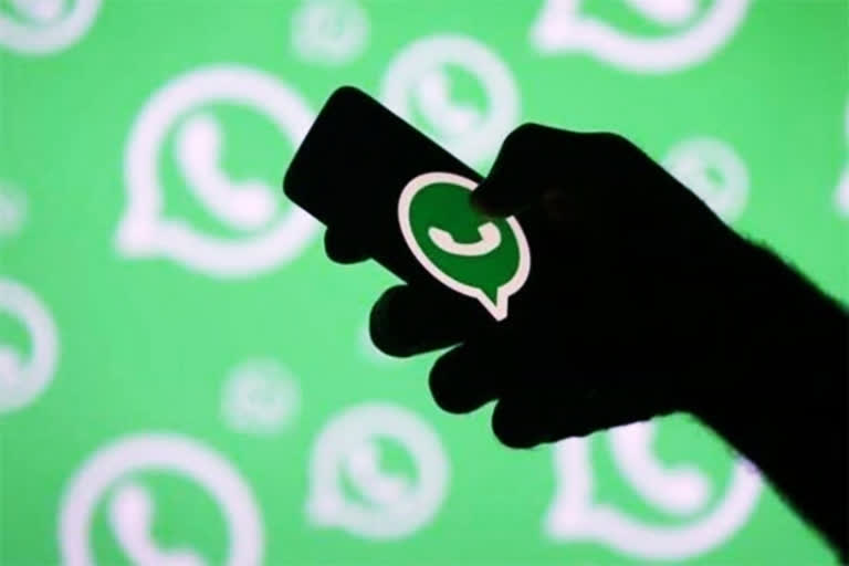 ycp activist posted naked videos in whats app group