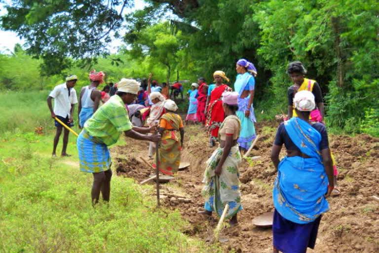 வேலை உறுதியளிப்பு சட்டம்