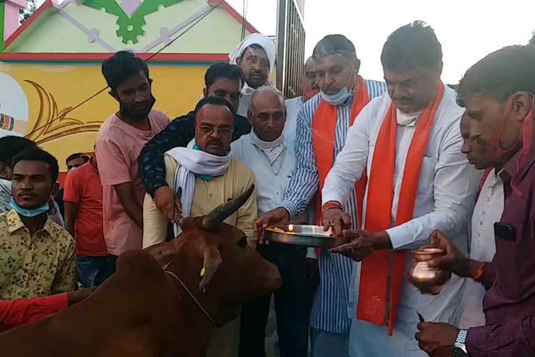 Agriculture Minister Kamal Patel inaugurated Gaushala