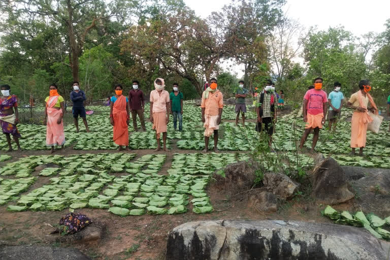 31-minor-forest-produce-purchased-in-chhattisgarh